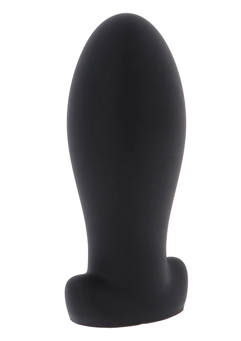 Hidden Desire Zware Anale Stretcher Buttplug L