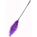Hidden Desire Kietelaar Double Feather - Paars