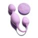 Blush Wellness Vibrerende Kegel Ballen Raine met Afstandsbediening - Roze